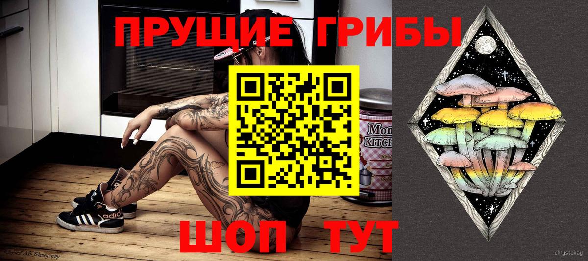Галлюциногенные грибы Cubensis  Вход с VPN  Чистополь  Псилоцибиновые грибы GOLDEN TEACHER 